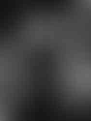 Rise Against Live In Calgary