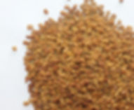 Fenugreek seed CO whole
