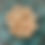 Thumbnail: Acne Capsules MO