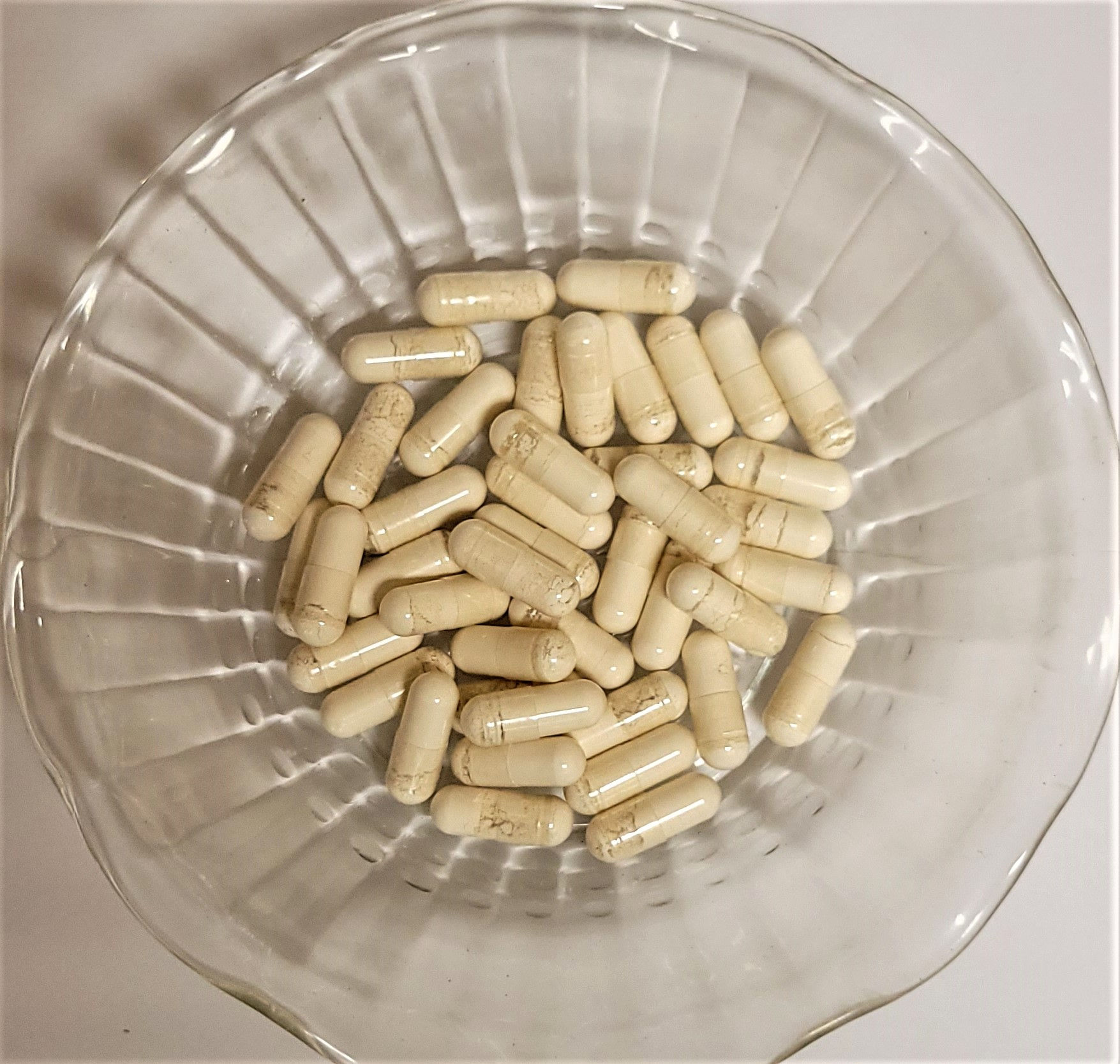 Garcinia extract Caps 1 oz