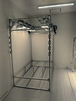 PXL_20260331_234954158~2.jpg