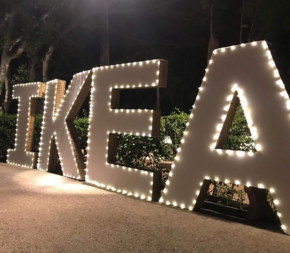 COLABORADOR FIESTA IKEA 2019