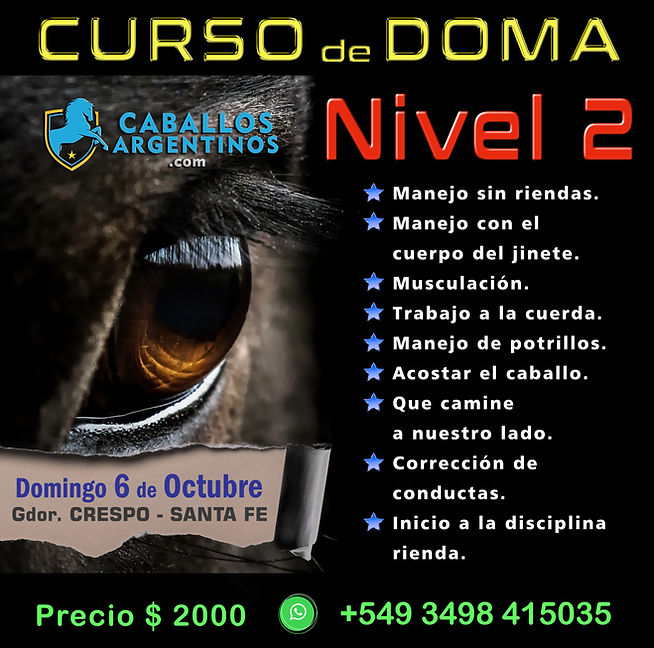 nivel 2.jpg