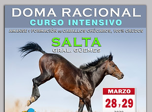 SALTA.jpg