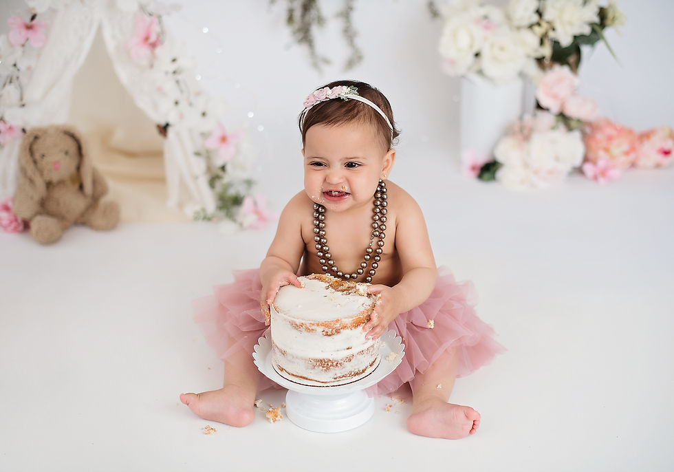 Custom Designed Cake Smash Photo Session Indianapolis
