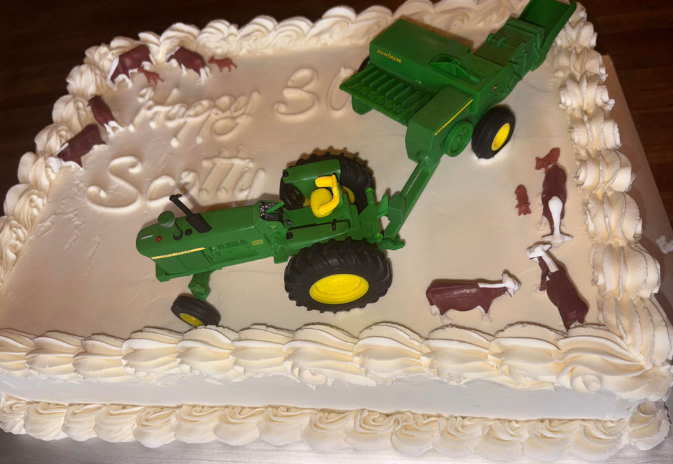 SHEET CAKE - 1:2 - TRACTOR
