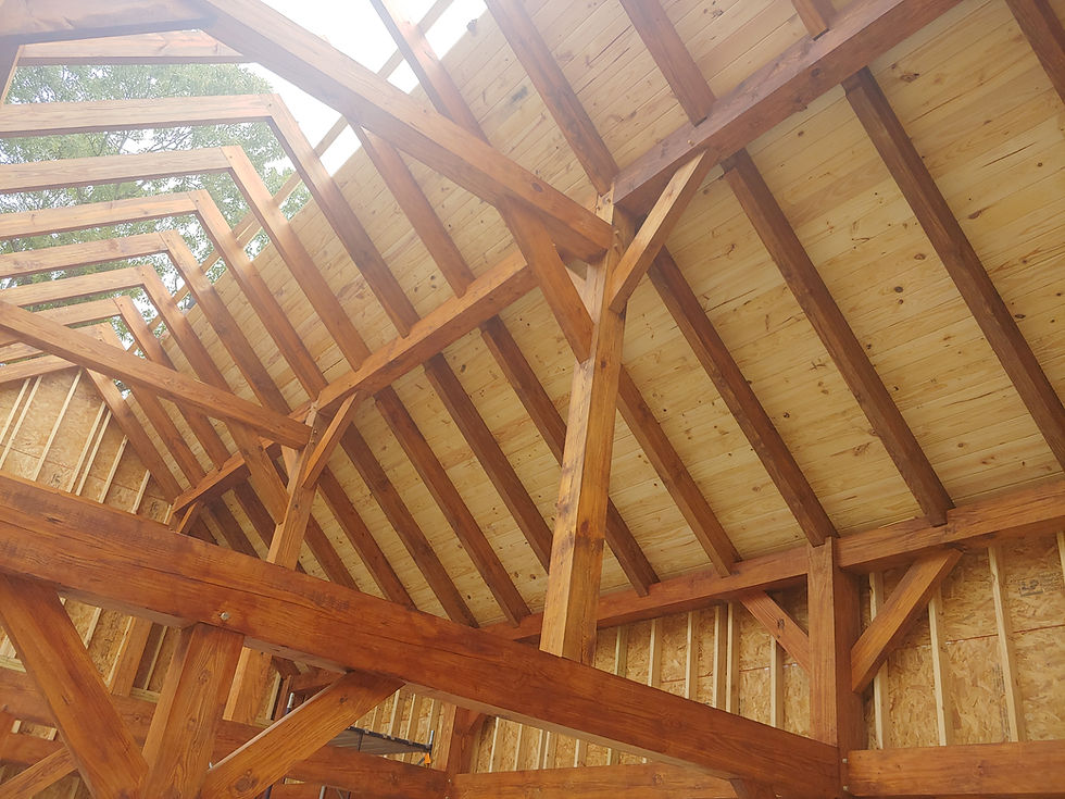 0330231153_HDR.jpg