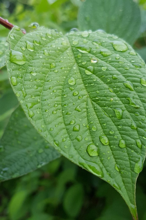 20190612_194804.jpg