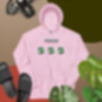 unisex-heavy-blend-hoodie-light-pink-front-67f2b28753b3a