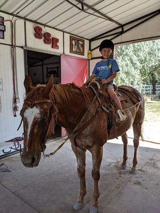 MVIMG_20190821_165317 (1).jpg