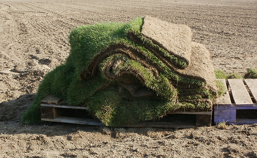 Grass Installation