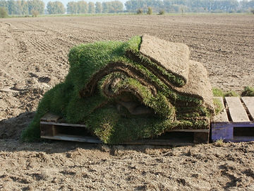 Grass Installation
