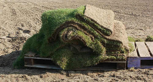 Grass Installation