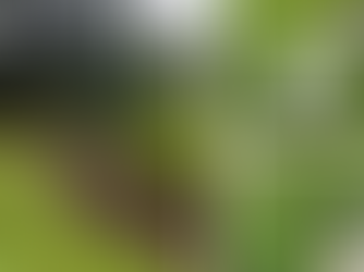 New Landscape Ordinance Passes in Kansas City