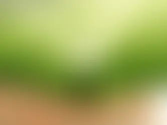 Irrigação automatizada e acessível para jardins