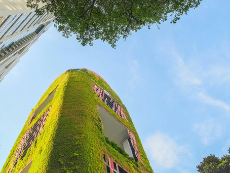 Integração entre Paisagismo e Arquitetura: Harmonia entre Espaços Construídos e a Natureza