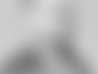 Influential African Americans In U.S Politics