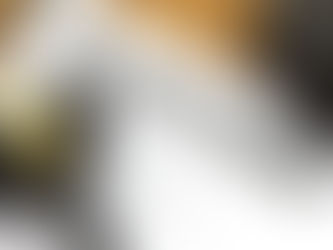 Death Penalty and Wrongful Conviction