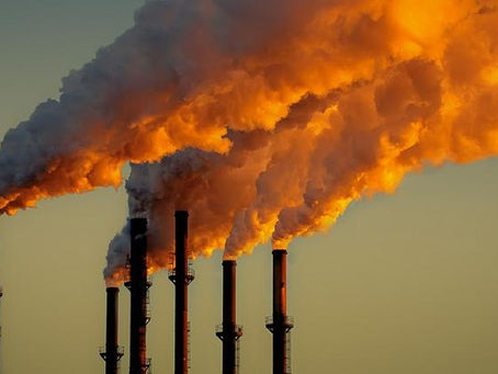 Ecosia- The Free and Easy Way to Help The Environment