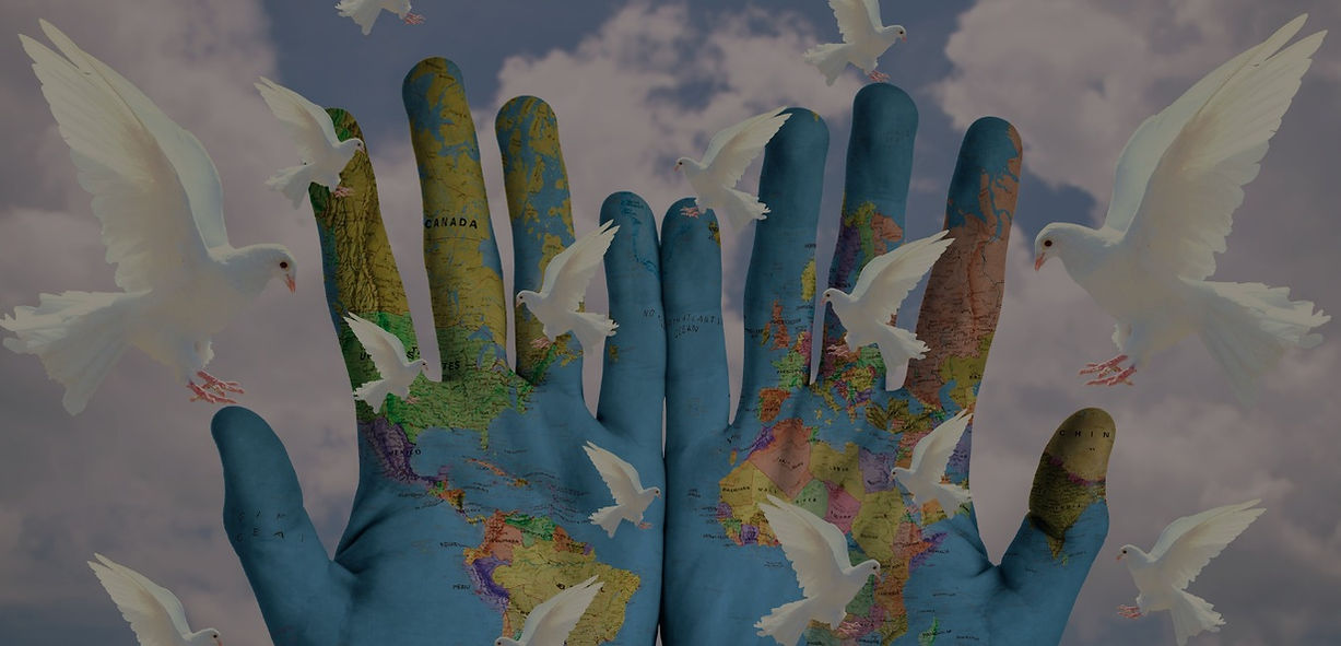 Hands with painting of the world and white dove flying.