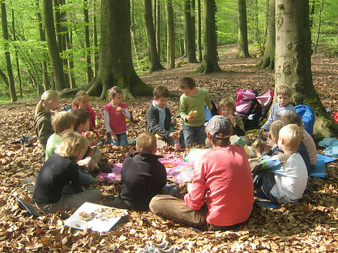 Bild 030.jpg