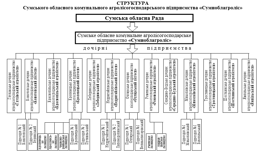 FСтруктура АЛГ Б(1).png