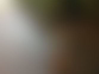 Hedgehog and the Pox