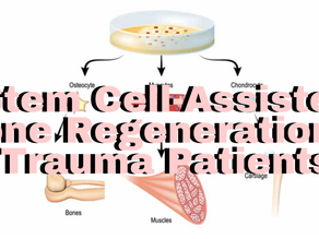 Stem Cell-Assisted Bone Regeneration in Trauma Patients