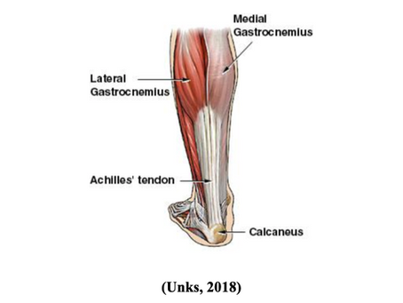 Achilles Reconstruction Surgery