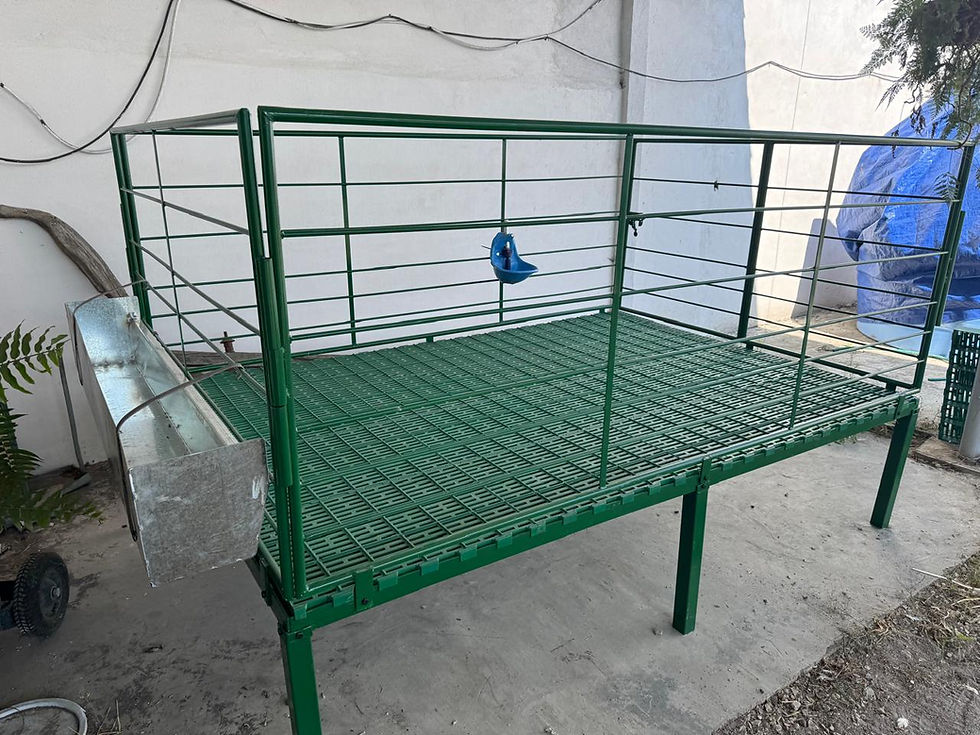 Miniatura: CORRAL ELEVADO DESARMABLE