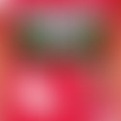 【試合結果】