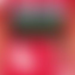 【試合結果】