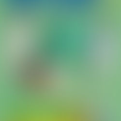 【進路内定のお知らせ】