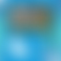 【試合結果】