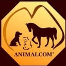 Animalcom Sylvie Chaiffre