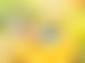 Nutritional Supplements in Weight Management