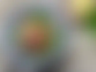 Healthy Recipes to Boost Your Weight Loss Journey