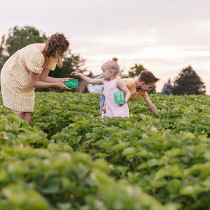 Farm-To-Table 411