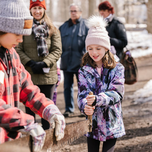 Maple Syrup Fun