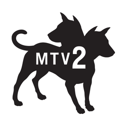 MTV 2
