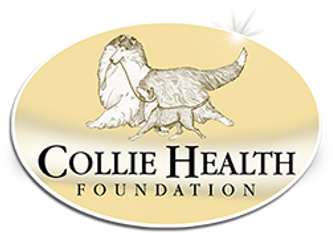 Collie Health Foundation