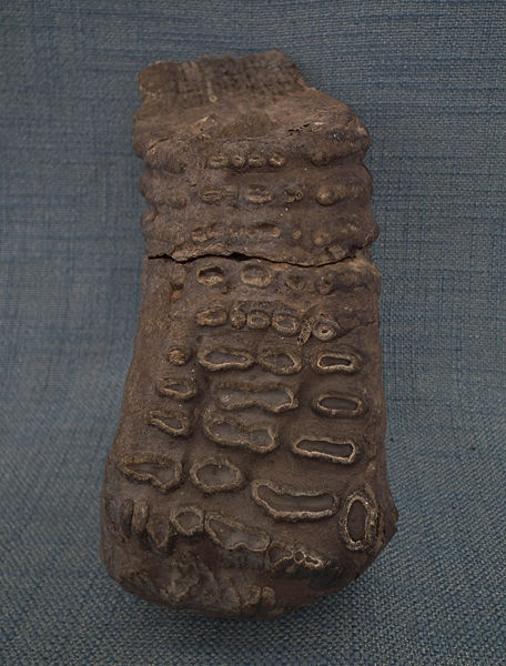 Thumbnail: Authentic Fossil Of European Woolly Mammoth Tooth Molar