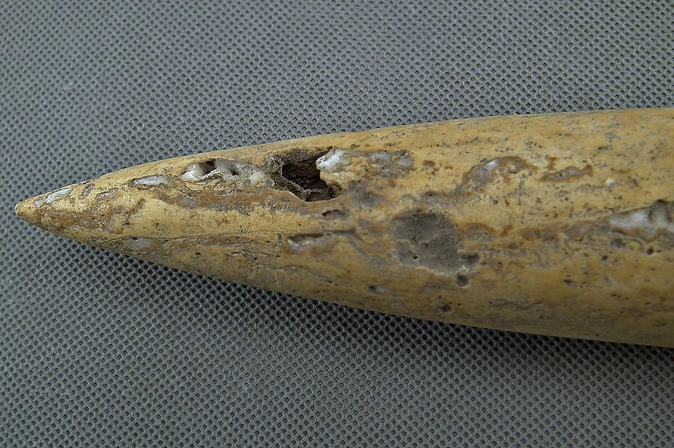 Thumbnail: Antique Pre-Columbian Mesoamerican Aztec Stone Dagger Carved with Quetzalcoatl