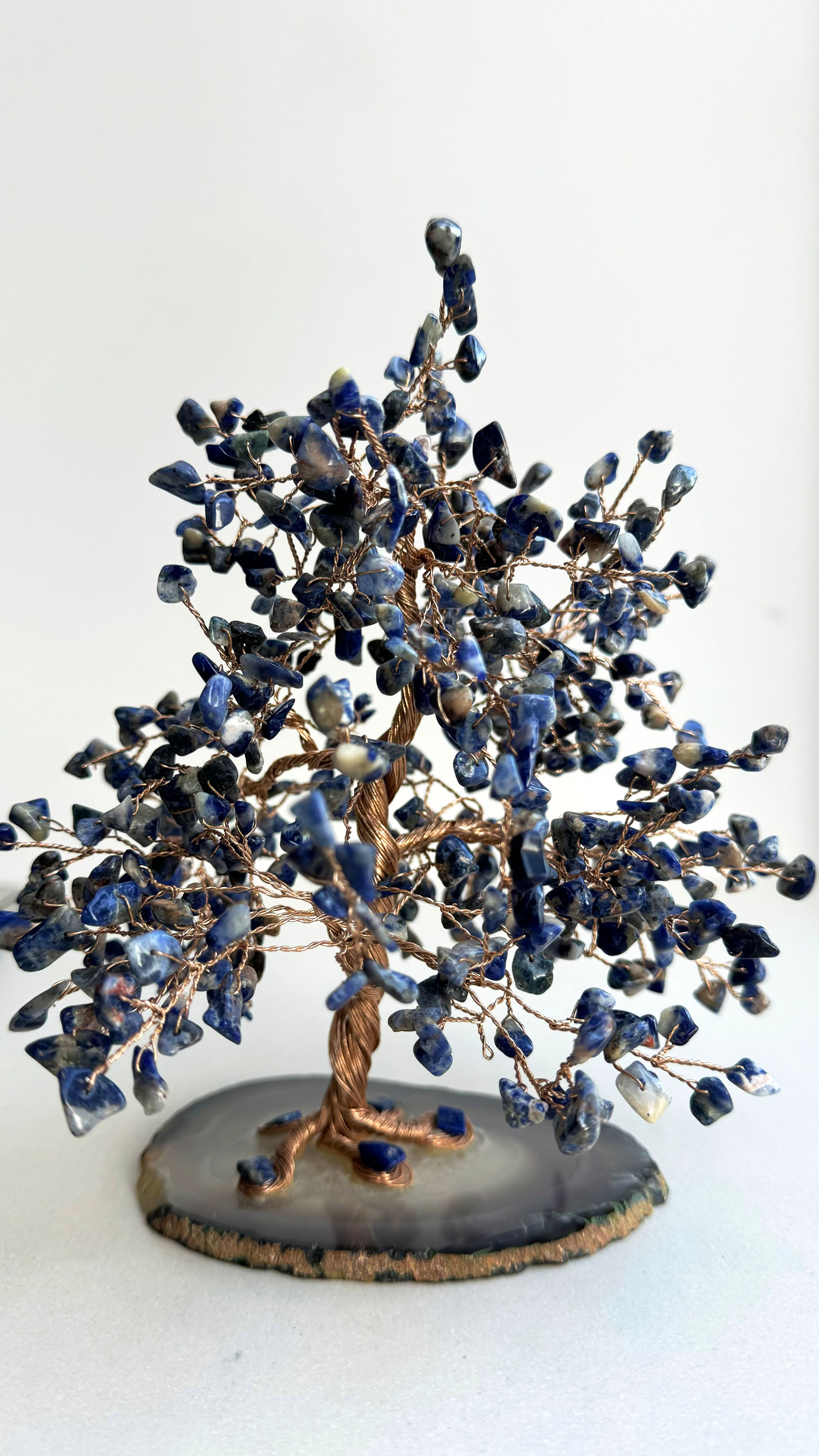 500 Crystal Sodalite Tree of Life