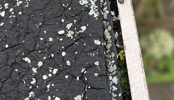 Craquele - dak-2.jpg