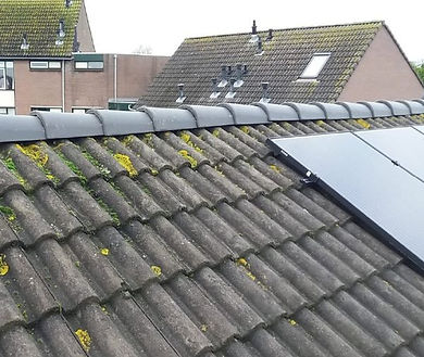 Nokvorst - 1 (R).jpg