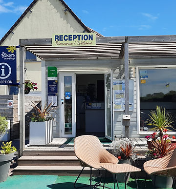 flower camping 3.jpg