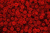 AdobeStock_187453760.jpeg