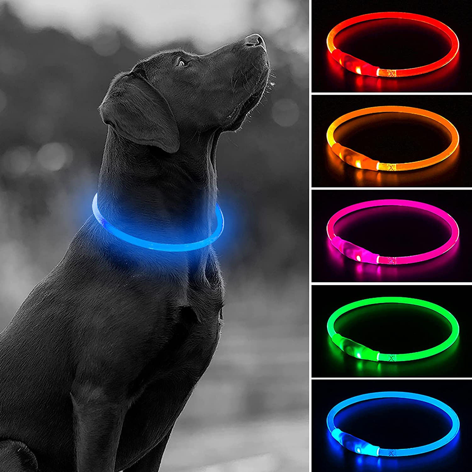 Collar LED de seguridad para perro