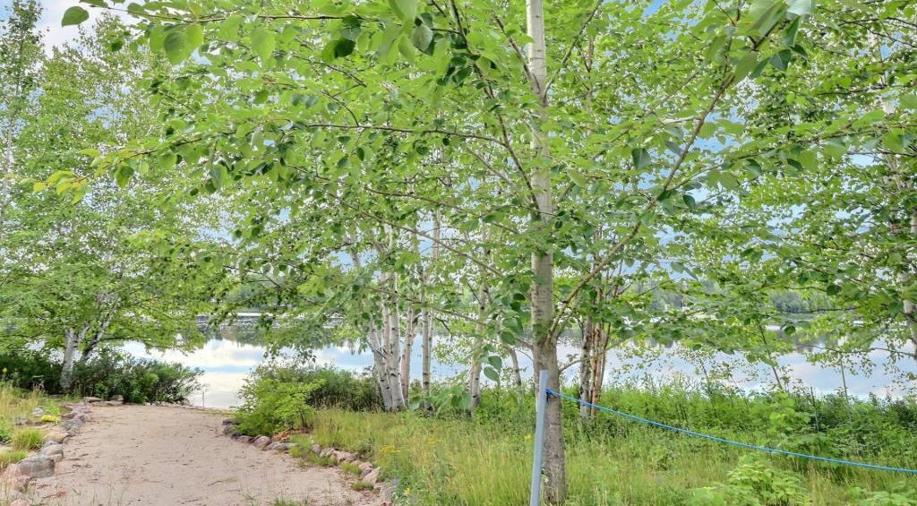 Vue sur l'eau avec boisé